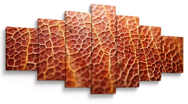 Obraz - Detail textury (210x100 cm)