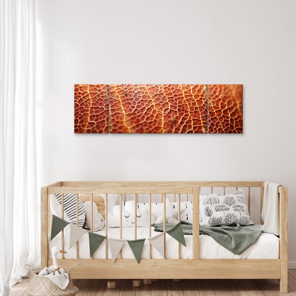 Obraz - Detail textury (170x50 cm)