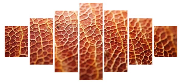 Obraz - Detail textury (210x100 cm)