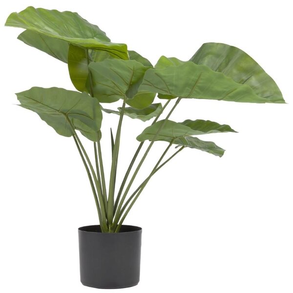OnaDnes -20% Umělá květina Kave Home Alocasia 57 cm