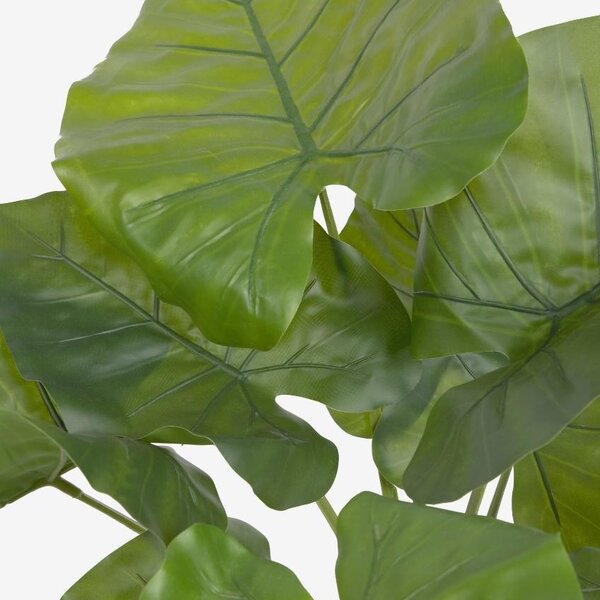 Umělá květina Kave Home Alocasia 57 cm