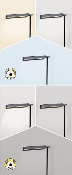 Rabalux 2934 - LED Dotyková stmívatelná lampa LED/7W/230V 3000K/4000K/6500K