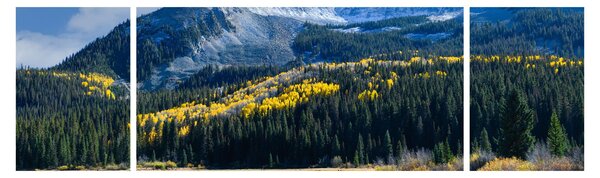 Obraz - Lost Lake, Oregon (170x50 cm)