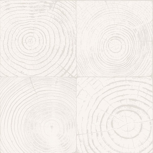 Šedobílá vliesová tapeta, imitace dřeva s letokruhy 347546, Matières - Wood, Origin