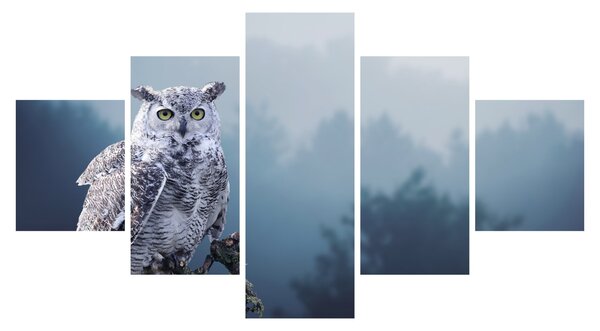 Obraz - Sova sněžná (125x70 cm)