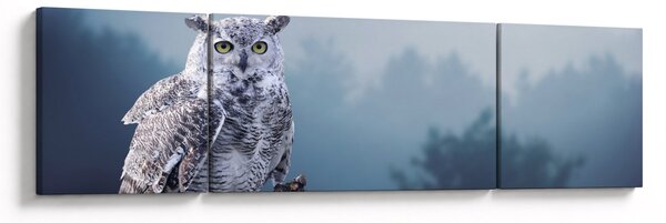 Obraz - Sova sněžná (170x50 cm)