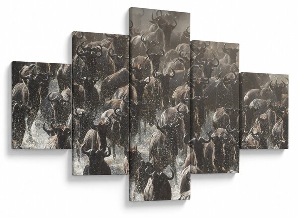 Obraz - Stádo pakoňů (125x70 cm)