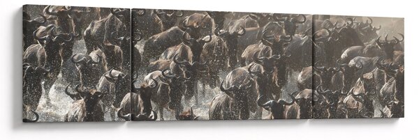 Obraz - Stádo pakoňů (170x50 cm)