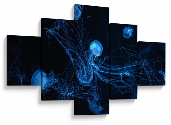 Obraz - Medúzy (125x70 cm)