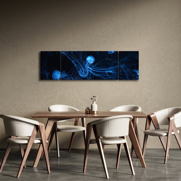 Obraz - Medúzy (170x50 cm)