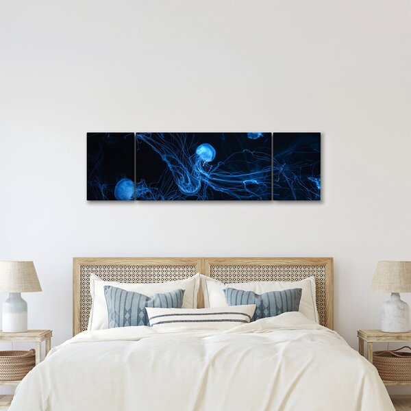 Obraz - Medúzy (170x50 cm)