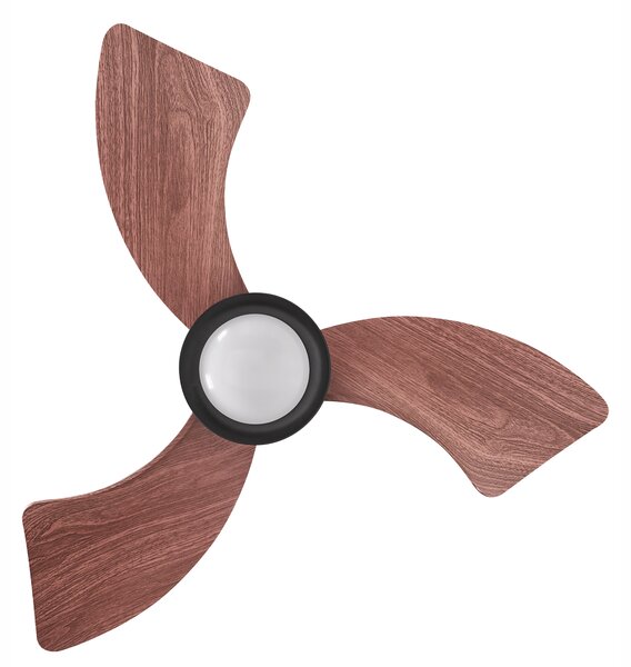 Stropní ventilátor se světlem HAINES s dálkovým ovládáním LED Černá