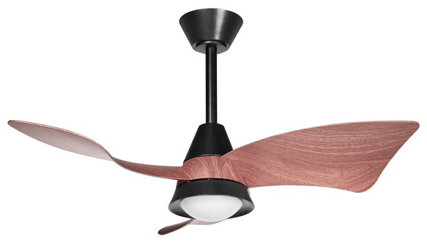 Stropní ventilátor se světlem HAINES s dálkovým ovládáním LED Černá
