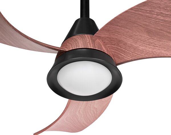 Stropní ventilátor se světlem HAINES s dálkovým ovládáním LED Černá