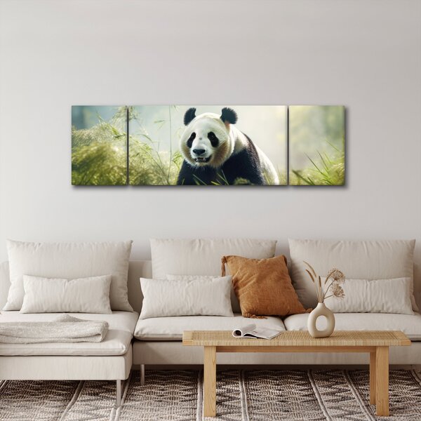 Obraz - Panda (170x50 cm)