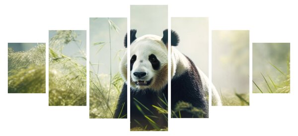 Obraz - Panda (210x100 cm)