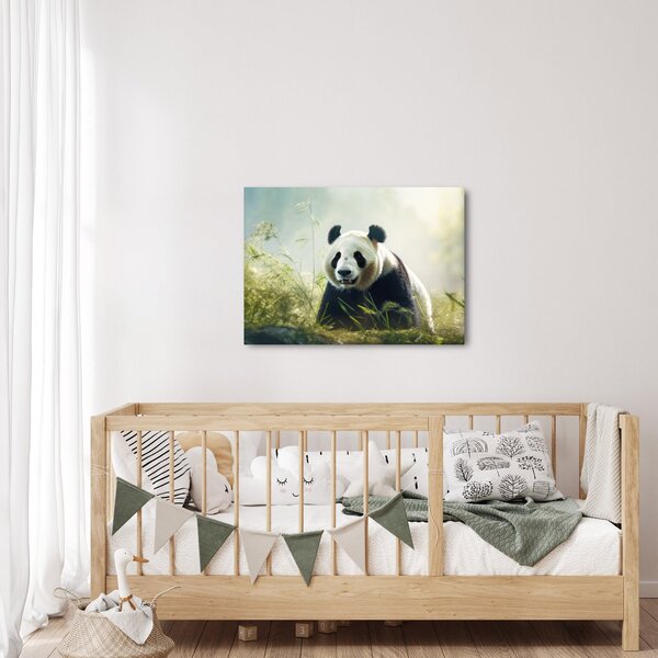 Obraz - Panda (70x50 cm)