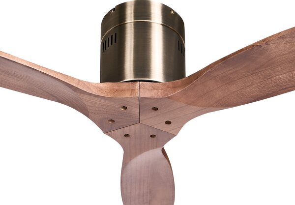 Stropní ventilátor HARNEY s dálkovým ovládáním Hnědá