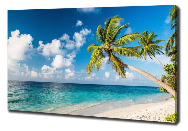 Foto obraz canvas Maledivy pláž pl-oc-100x70-f-139579212
