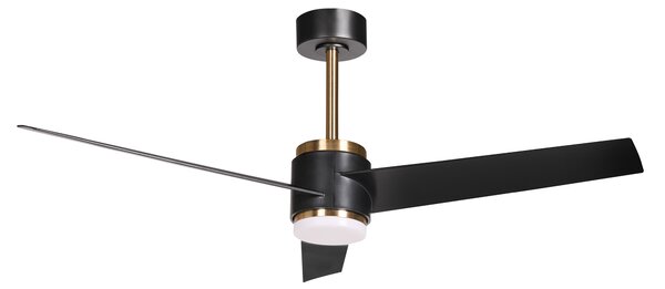 Stropní ventilátor se světlem TROUT s dálkovým ovládáním LED Černá