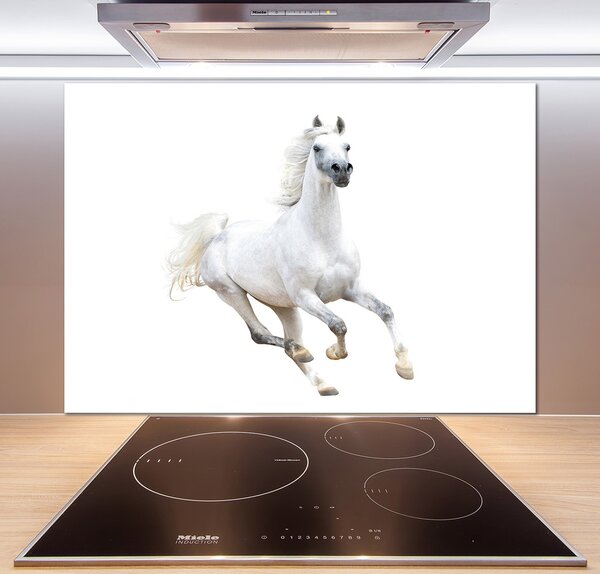 Panel do kuchyně Bílý arabský kůň pl-pksh-100x70-f-99028092