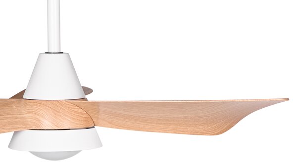 Stropní ventilátor se světlem HAINES s dálkovým ovládáním LED Bílá