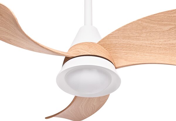 Stropní ventilátor se světlem HAINES s dálkovým ovládáním LED Bílá