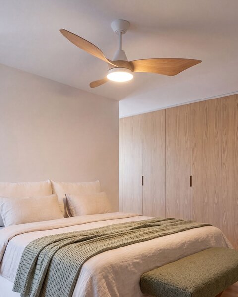 Stropní ventilátor se světlem HAINES s dálkovým ovládáním LED Bílá