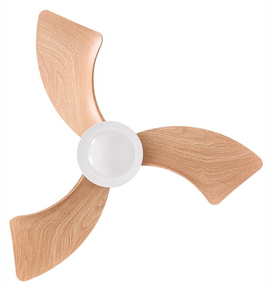 Stropní ventilátor se světlem HAINES s dálkovým ovládáním LED Bílá