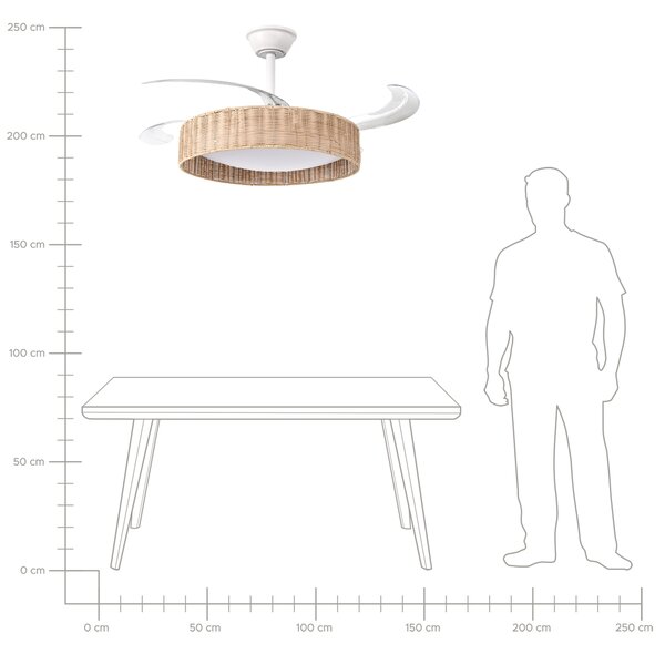 Stropní ventilátor se světlem TOMOKA s dálkovým ovládáním LED Bílá