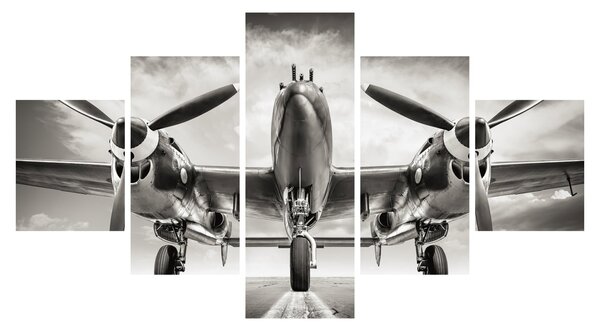 Obraz - Warbird (125x70 cm)