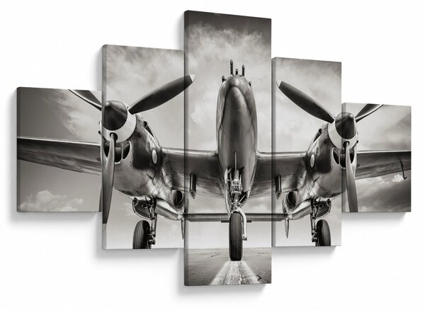 Obraz - Warbird (125x70 cm)
