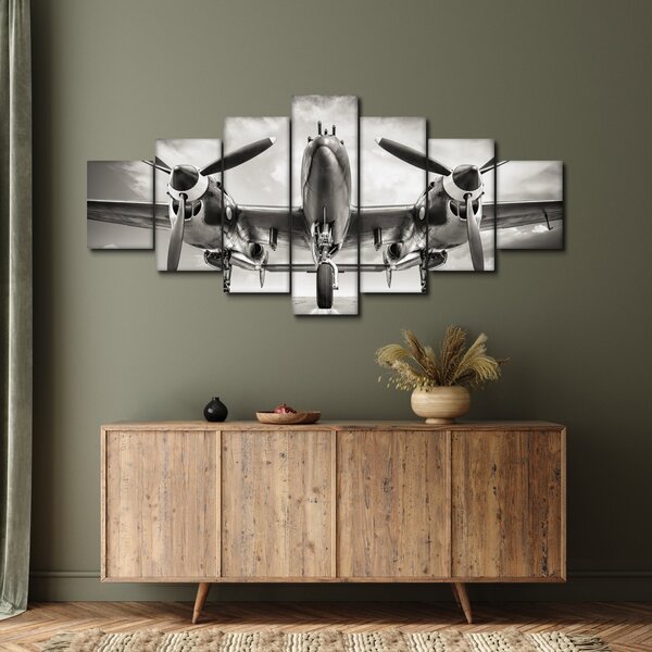 Obraz - Warbird (210x100 cm)
