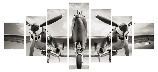 Obraz - Warbird (210x100 cm)