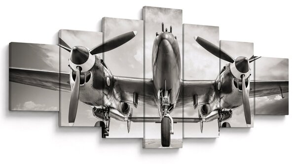 Obraz - Warbird (210x100 cm)