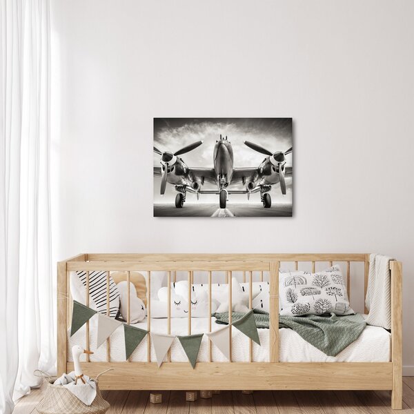 Obraz - Warbird (70x50 cm)
