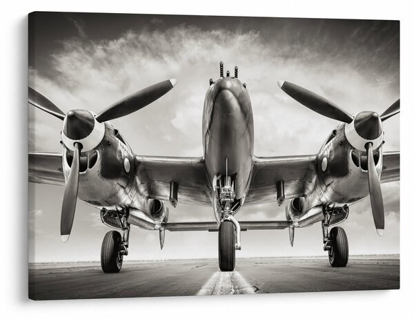 Obraz - Warbird (70x50 cm)