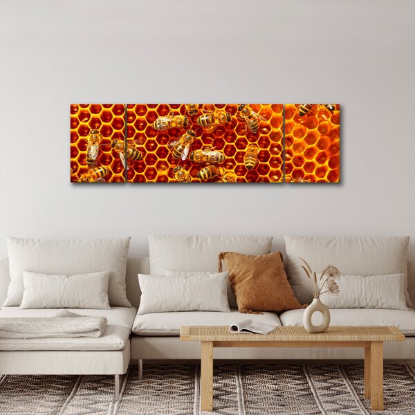 Obraz - Medová plástev (170x50 cm)