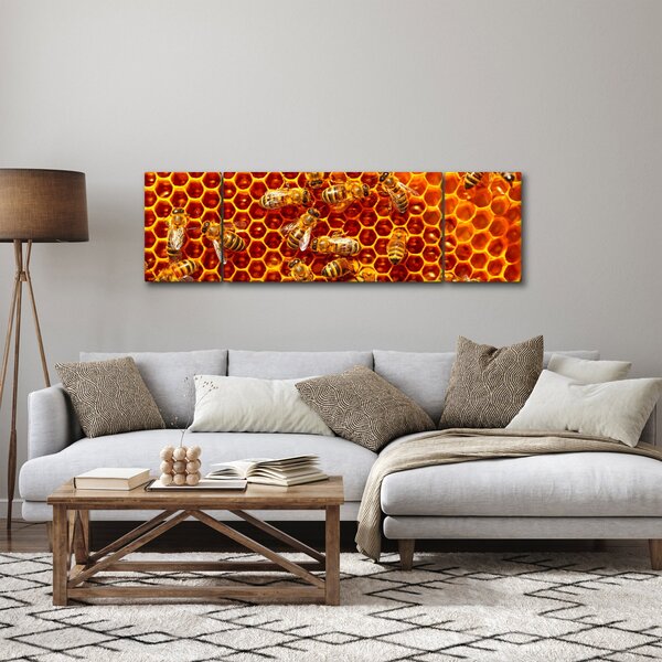 Obraz - Medová plástev (170x50 cm)