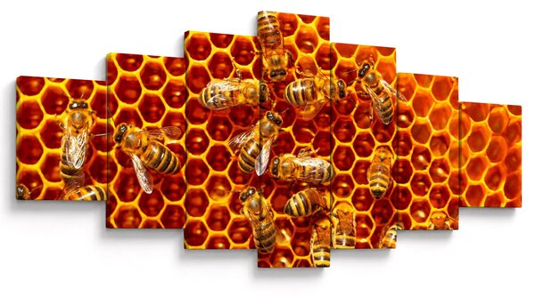Obraz - Medová plástev (210x100 cm)