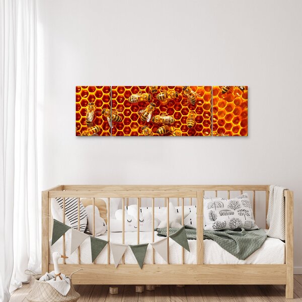 Obraz - Medová plástev (170x50 cm)