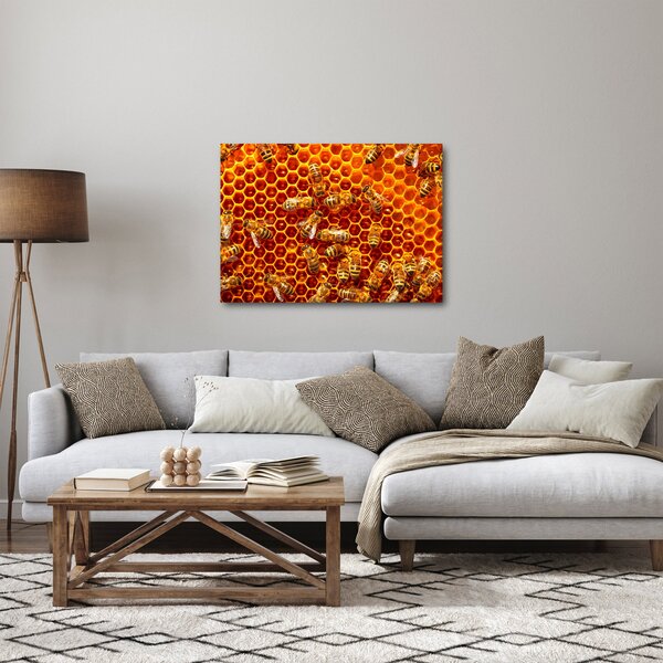 Obraz - Medová plástev (70x50 cm)