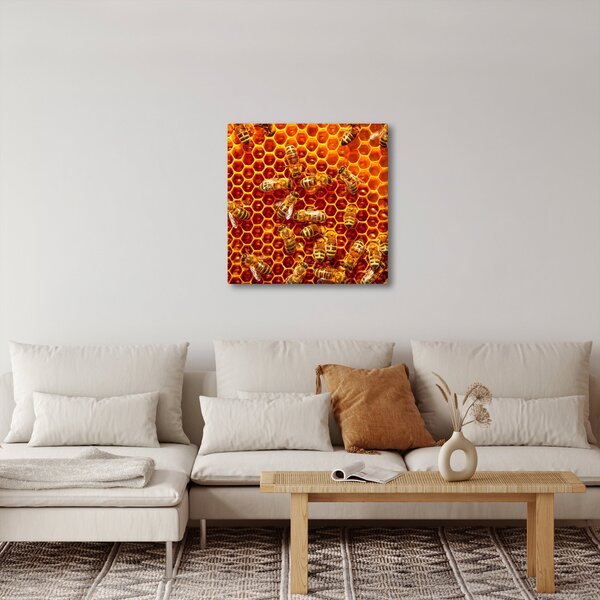 Obraz - Medová plástev (30x30 cm)