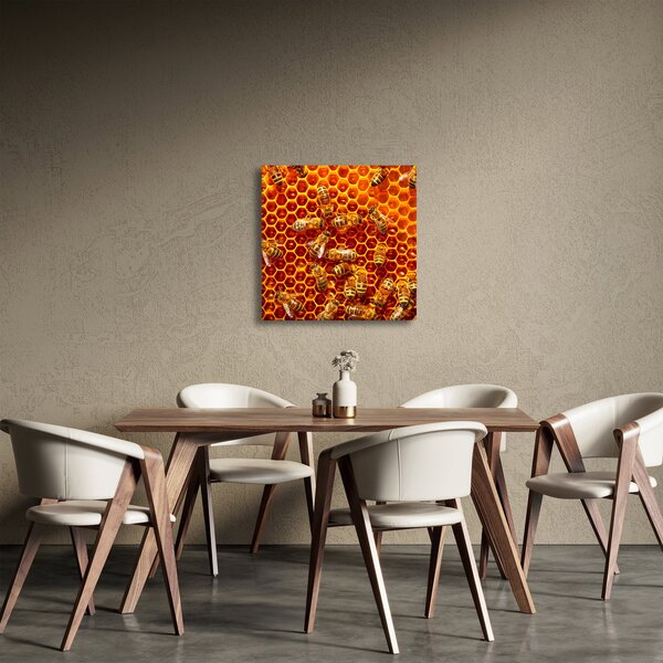Obraz - Medová plástev (30x30 cm)