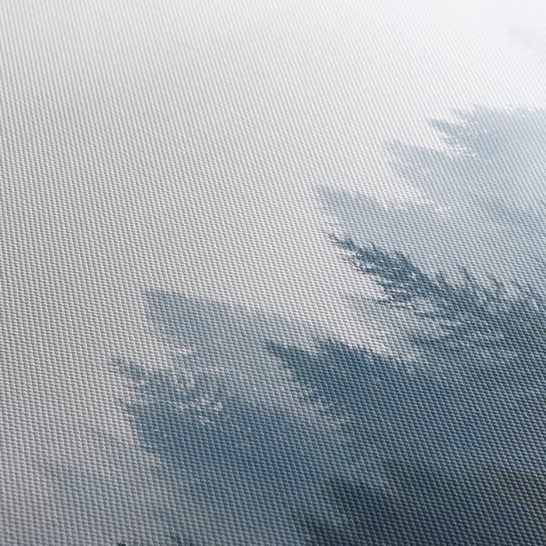 Obraz - Zamlžený les (210x100 cm)