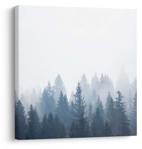 Obraz - Zamlžený les (30x30 cm)