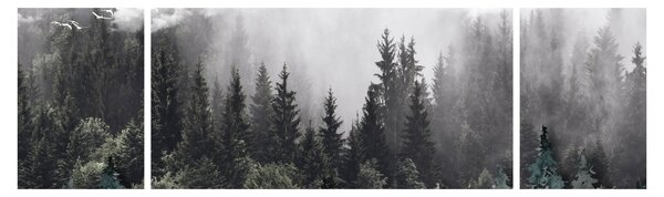 Obraz - Les s ilustrovanými prvky (170x50 cm)
