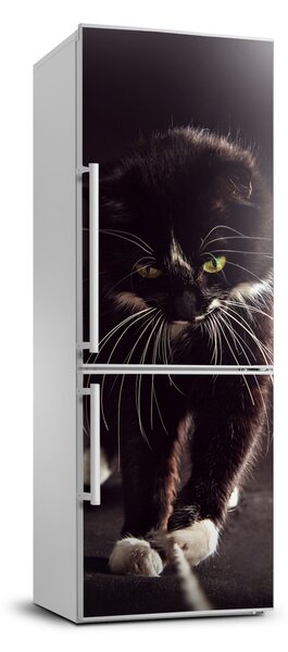 Foto nálepka na ledničku stěnu Černá kočka FridgeStick-70x190-f-119089470