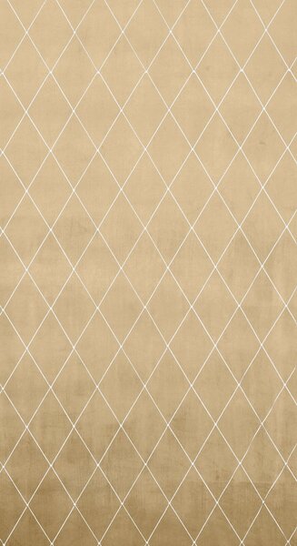 ZATEMŇOVACÍ ZÁVĚS NA KROUŽCÍCH PIERRE CARDIN MARGO 140X250 CM BÉŽOVÁ