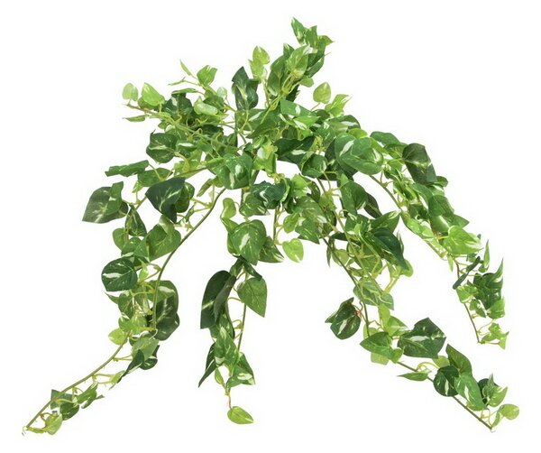 Umělá popínavá rostlina Pothos, 50cm